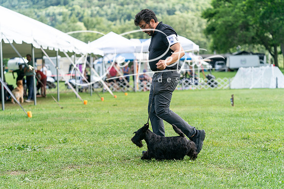 20240630-DSC05507