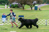 20250627-DSC05576