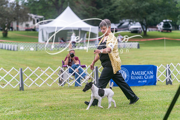 20250626-DSC02753