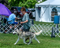 20250629-DSC09384