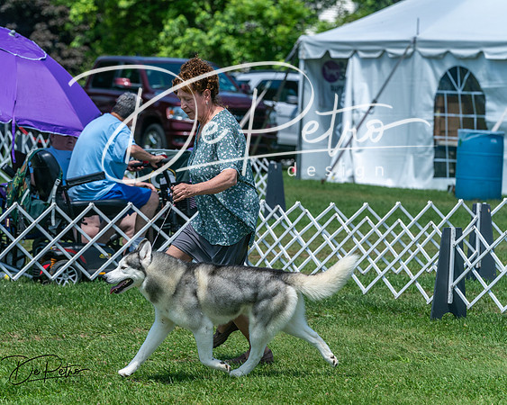 20250629-DSC09384