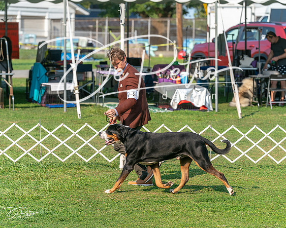 20240913-DSC09971