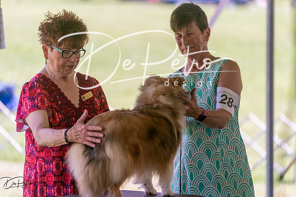 20240630-DSC01375