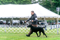 20250626-DSC02102