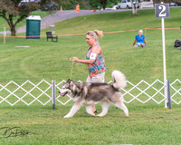 20250628-DSC08087