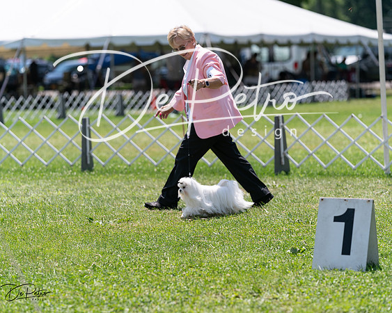 20240630-DSC01449