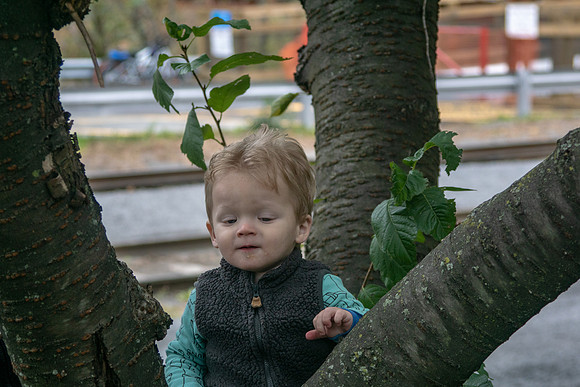 20181020-DSC03012