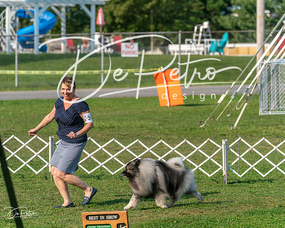 20240913-DSC00085