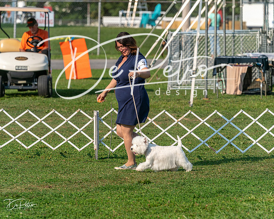 20240913-DSC00415