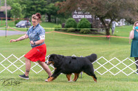 20250628-DSC07476