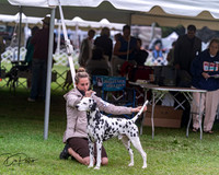 20250627-DSC06491