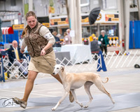 20250301-DSC04580