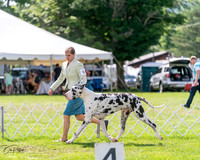 20240630-DSC02857