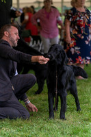 20250626-DSC02304