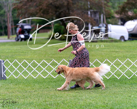 20240630-DSC00664