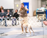 20250301-DSC04577