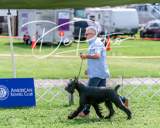 20240815-DSC07590