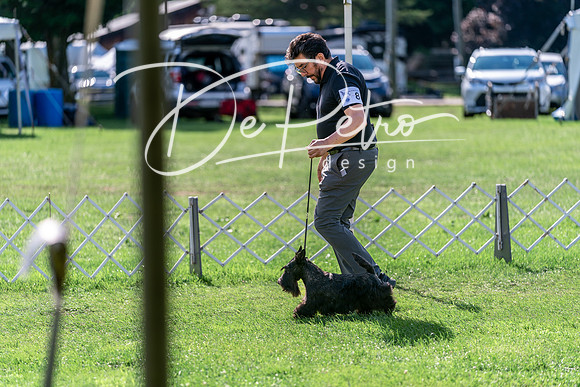 20240630-DSC05131