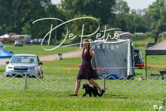 20240816-DSC00424