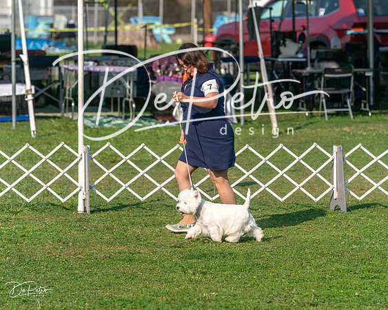 20240913-DSC00389