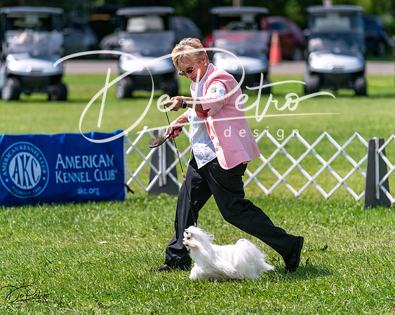 20240630-DSC01650