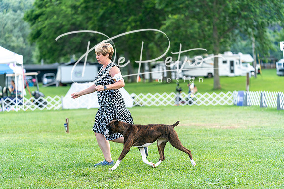 20240630-DSC05353