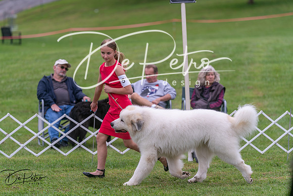 20250627-DSC05961