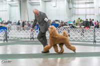 20250315-DSC08205