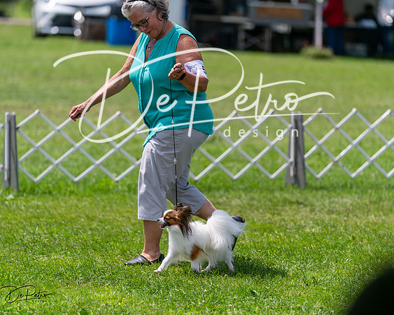 20240630-DSC01618