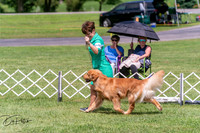 20250628-DSC07749
