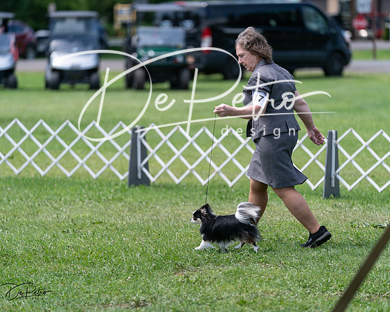 20240630-DSC01563