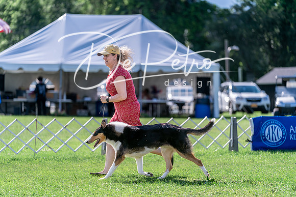 20240630-DSC04701