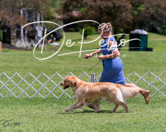 20240630-DSC00395