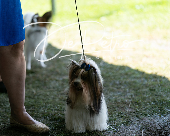 20240630-DSC01459