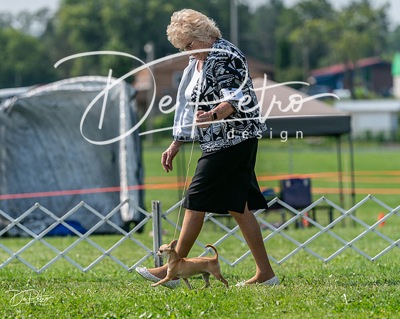 20240816-DSC01056