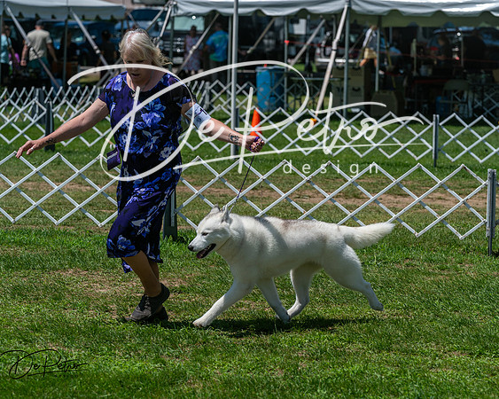 20250629-DSC09299