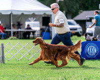 20240630-DSC03898