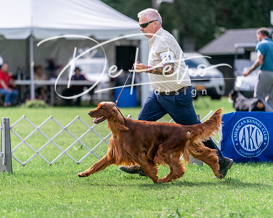 20240630-DSC03898