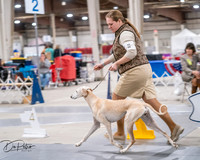 20250301-DSC04590
