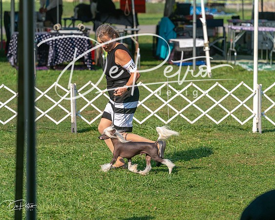 20240913-DSC00141