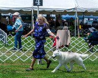 20250629-DSC09343