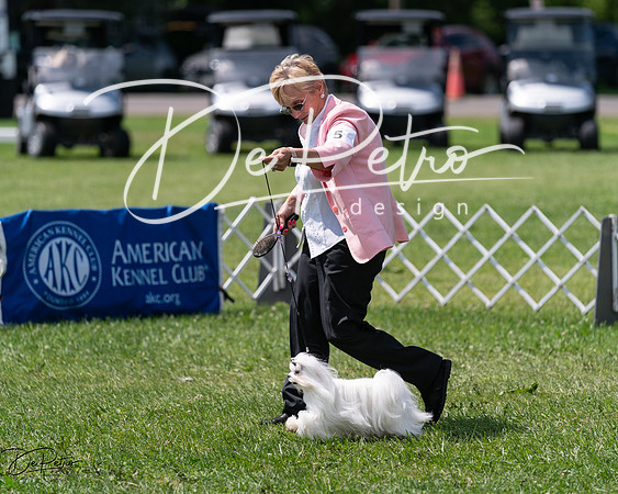 20240630-DSC01651