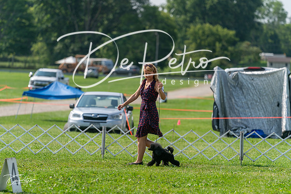 20240816-DSC00434