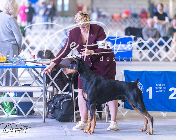 20250302-DSC07039