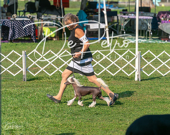20240913-DSC00138