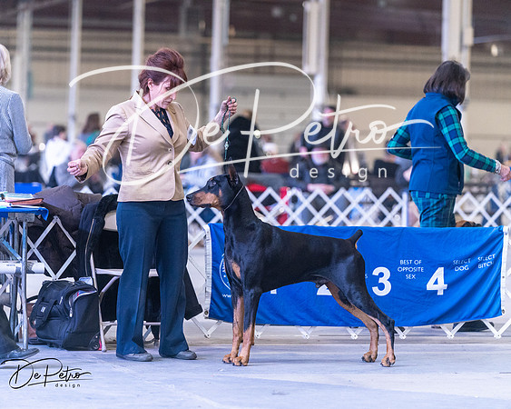 20250302-DSC06930