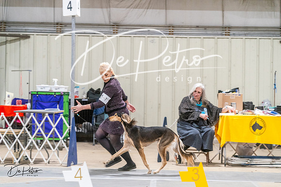 20240218-DSC01997