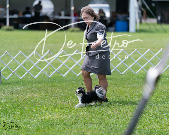 20240630-DSC01568