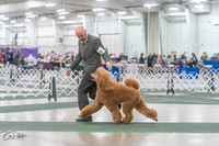 20250315-DSC08178