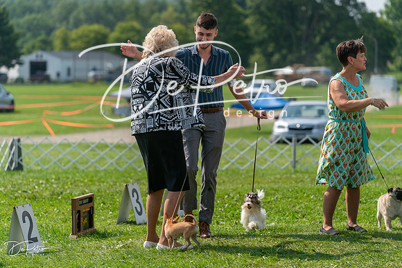 20240816-DSC00497